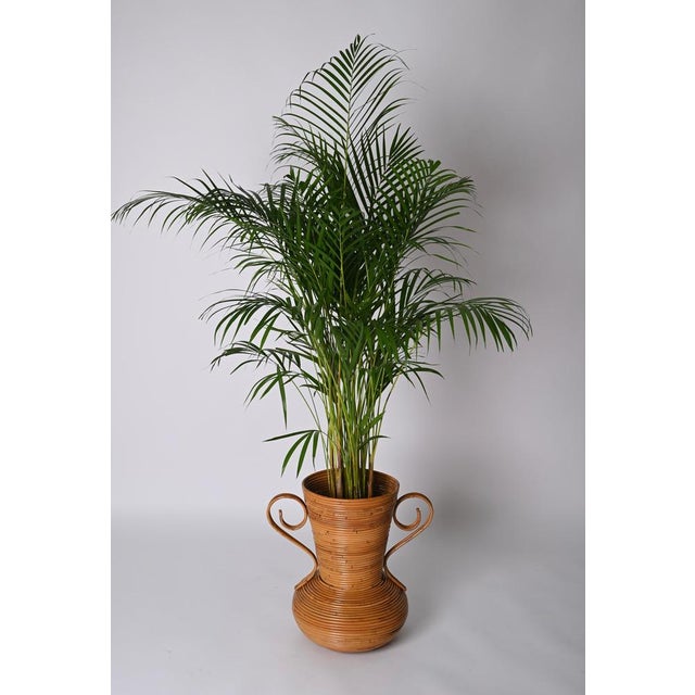 Bamboo and Rattan Vase by Vivai del Sud, Italy, 1970s For Sale - Image 12 of 17