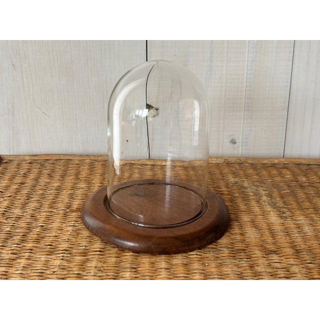 Mid-Century Modern Cloche For Sale - Image 4 of 7