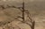 This French iron twig coffee table base from the mid-20th century is a remarkable fusion of natural inspiration and...