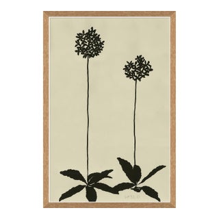 Allium by Susan Hable For Sale