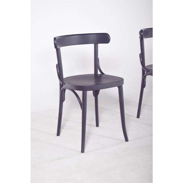 Vintage Black Lacquered Chair, 1950 For Sale - Image 9 of 10