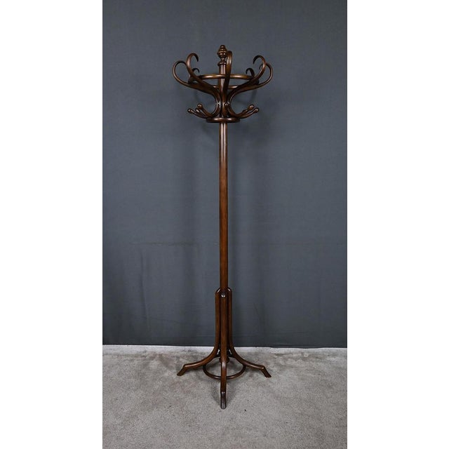 Early 20th Century Parrot Coat Rack in Beechwood, 1890s For Sale - Image 14 of 18