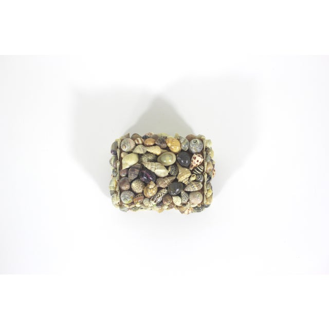 Vintage Snail Shell Encrusted Box For Sale - Image 6 of 11