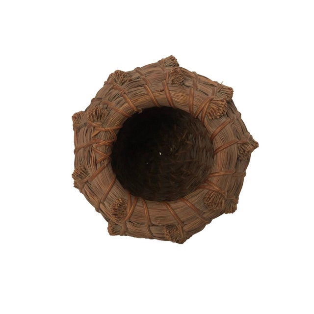 Native American 1980s Pine Needle Coil Basket Native American Southeast Usa Hand Crafted 5.75" Tall For Sale - Image 3 of 5