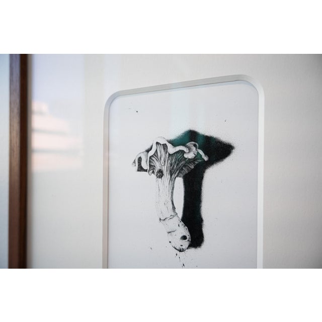 Using ink, Iowan artist Anna Flickinger specializes in Pointillism to showcase subjects of nature and food. This mushroom...