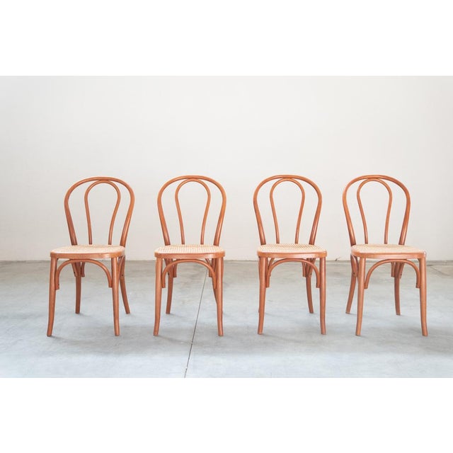 Chairs in Curved Beech Wood and Straw Seat, 1990s, Set of 12 For Sale - Image 17 of 17