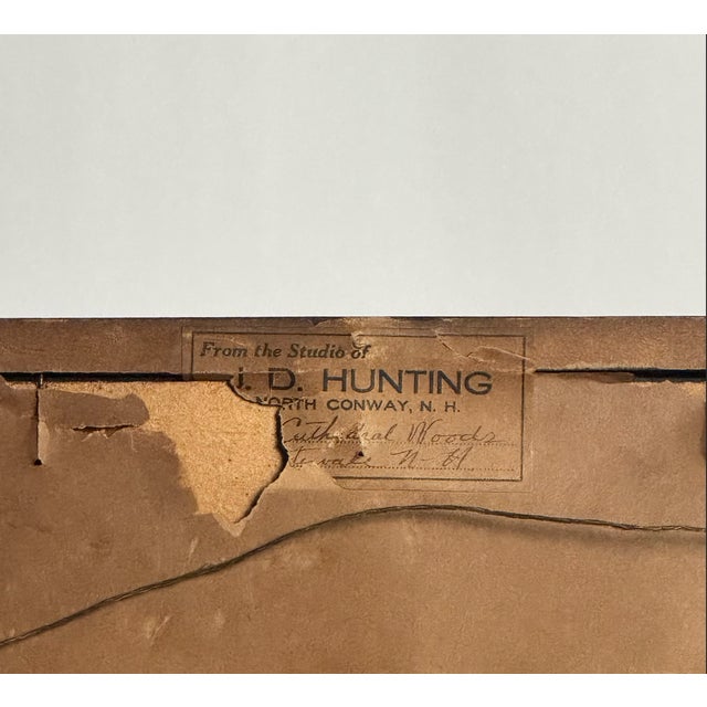 Early 20th Century 1900s Antique Black and White Forest Scene Photograph For Sale - Image 5 of 6