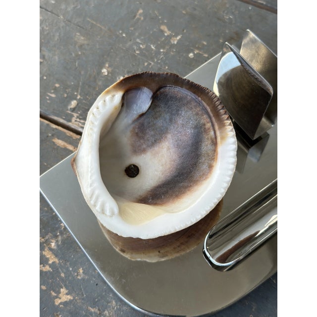 Metal Rare Vintage Art Deco Mounted Natural Clam Shell + Chrome Cigar Tray, Circa 1930s For Sale - Image 7 of 16