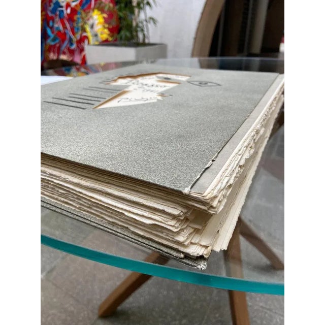 Gray Portfolio "Picasso from 1916 to 1961" - Jean Cocteau and Pablo Picasso - 1962 1962 For Sale - Image 8 of 10