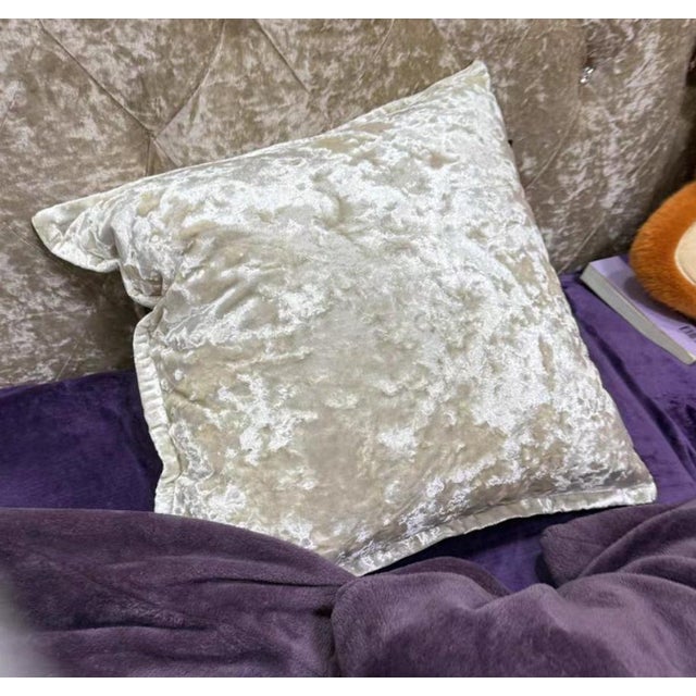 2020s Modern Style 18-Inch Silver-White Feather Silk Cotton Square Pillow For Sale - Image 5 of 6