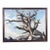 Oil on Canvas, MCM 1960: Weathered, Sculpted Ancient Tree on Granite Outcrop, Signed Yoshii For Sale