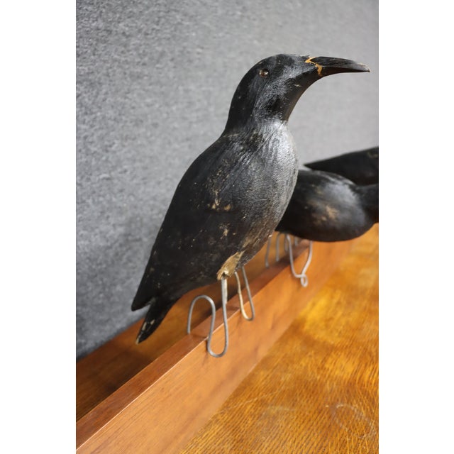 Folk Art Crow Decoys – Set of Three For Sale - Image 4 of 18