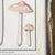 Illustration French Botanical Mushroom "L'Argaric Couleur De Rose" Illustration From 1700's, Antique Framed Etched Botany Art For Sale - Image 3 of 12