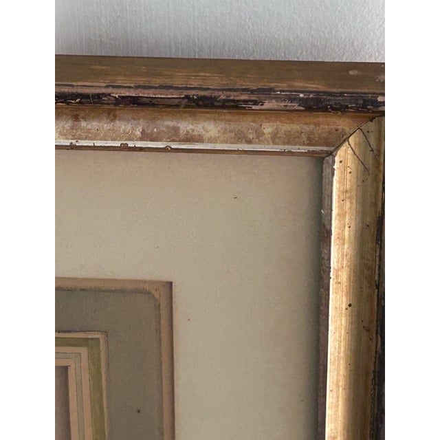 Early 19th Century Antique Jacques Barraband Green Parrot Engraving, Plate Xv, Early 19th Century, Gilt Framed For Sale - Image 5 of 12