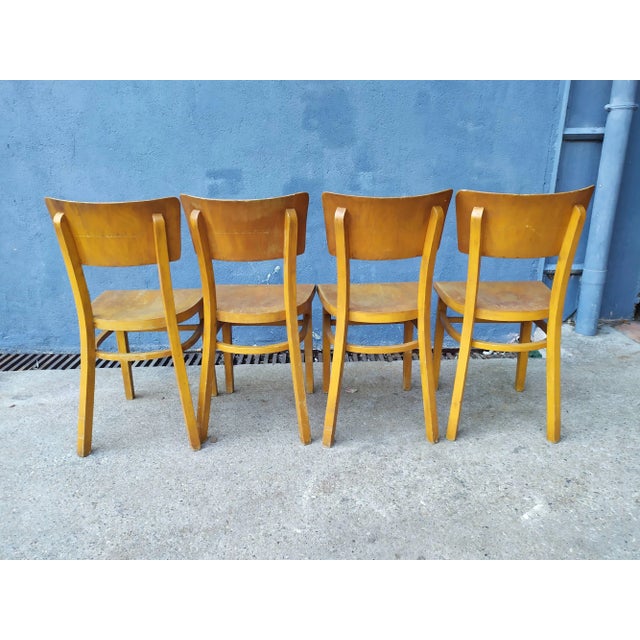 Thonet Dining Chairs by Michael Thonet for Thonet, 1950s, Set of 4 For Sale - Image 4 of 15