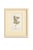 1900 - 1909 Set of Twelve Antique Alpine Botanical Chromolithographs Circa 1909 in Custom Frames. For Sale - Image 5 of 15