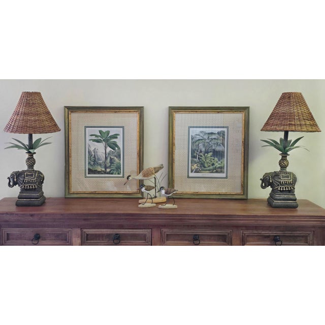 19th-Century Botanical Exotic Palm Chromolithographs – Verschaffeltia & Acanthophoenix, Museum Framed From L’Illustration Horticole, a Pair For Sale - Image 14 of 14