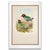 19th Century Rare Gould Pattern Pair | Hand-Colored Pitta Lithographs From John Gould’s Birds of Asia - Set of 2 For Sale - Image 9 of 13