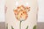 Tiffany & Co. "Tiffany Tulips" Porcelain Vase For Sale - Image 9 of 12