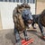 Large Bronze Sculptures of Lions, 1870, Set of 2 For Sale - Image 11 of 18