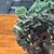 20th Century Chinese Art Jade Vase Sculpture, 1900 For Sale - Image 6 of 12