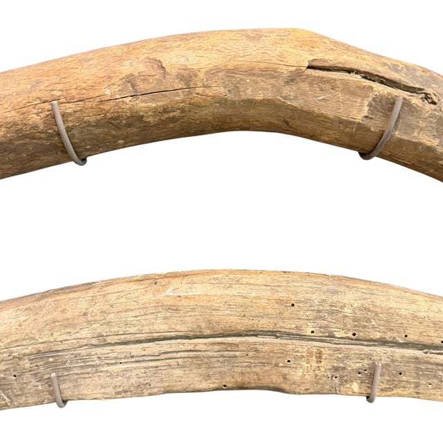 Collection of Eight 19th/Early 20th Century Hog Gambrels on Custom Wall Mounts For Sale - Image 12 of 14