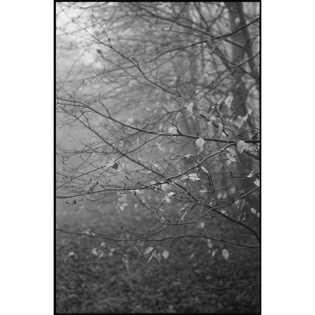 Not Yet Made - Made To Order Paul Cooklin, Scan 20211222 86, Edition of 50 For Sale - Image 5 of 5