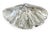 Decorative silvered clam shell. Eye catching decorative accent for a coffee table or serving bowl. Heavy and beautifully...