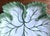 Traditional Vintage Hand-Painted 10" Faience Leaf Dish-Portugal For Sale - Image 3 of 7