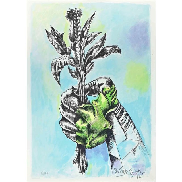 Mid-Century Modern Ercole Pignatelli, Flower, Original Lithograph, 1972 For Sale - Image 3 of 3