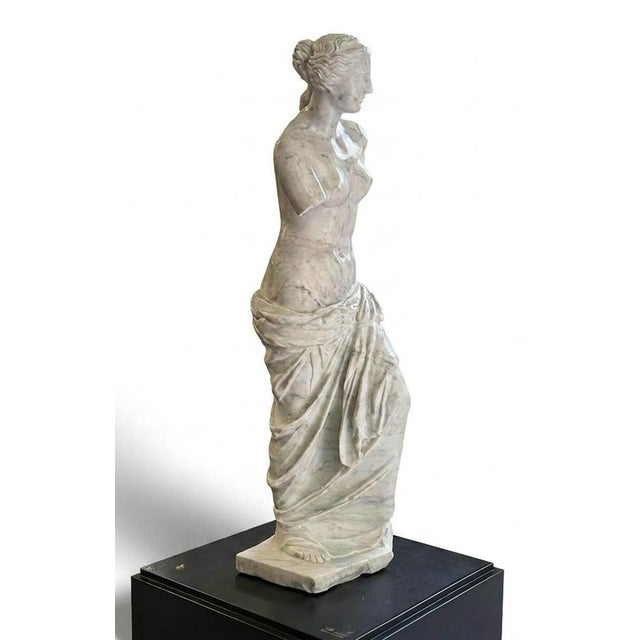 20th Century Greek Statue of Venus de Milo in Carrara Marble For Sale - Image 6 of 7