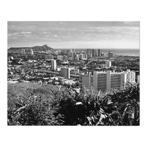 1972 Honolulu Hawaii Photograph by Don Ware