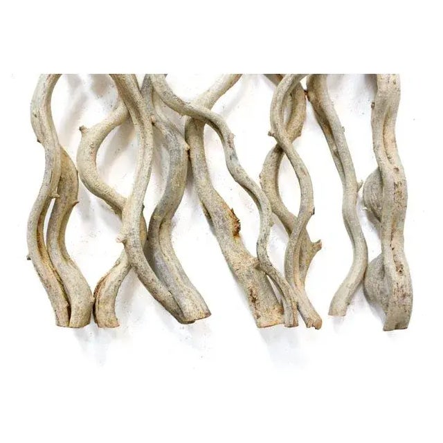 Vine Wall Art Organic Dimensional Set of Three Natural Vine For Sale - Image 12 of 12