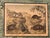 Set of Nine Gotthilf Von Schubert Natural History Chromolithographs For Sale - Image 9 of 17