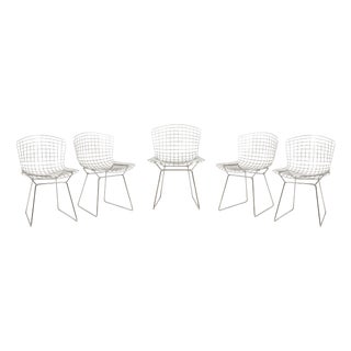 Vintage Chairs by Harry Bertoia for Knoll, 1970s, Set of 5 For Sale