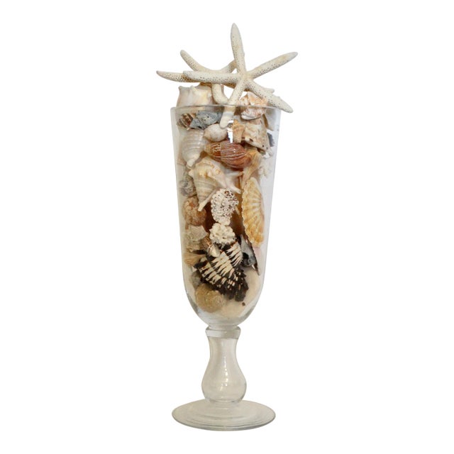Large Coastal Vase With Seashell Collection 19.5 Inches For Sale