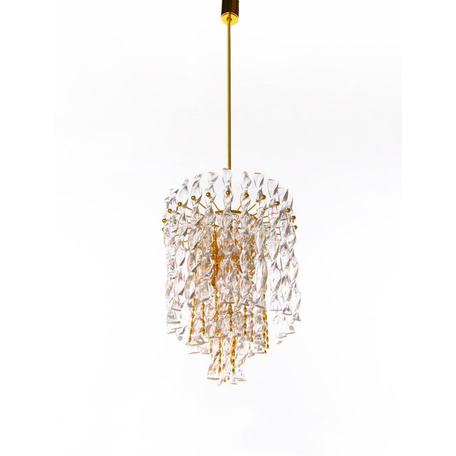 Elegant chandelier with tendril twisted glass and gold-plated brass ribbons designed in the manner of gaetano sciolari....