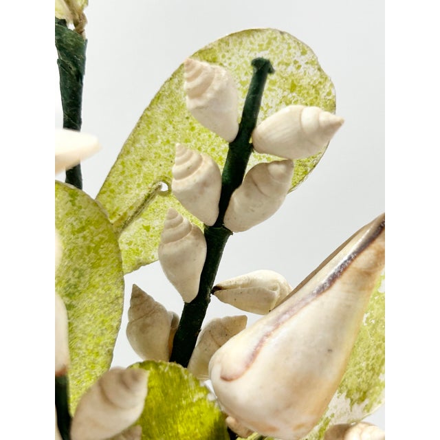 Blush Vintage Shell Sculpture Flower Arrangement in Conch Shell Vase – Mid-Century Coastal Seashell Sculpture For Sale - Image 8 of 11