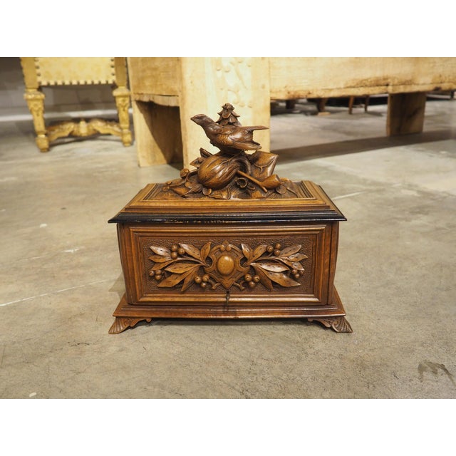 Antique Swiss Black Forest Cigar Box Humidor, Circa 1900 For Sale - Image 11 of 16