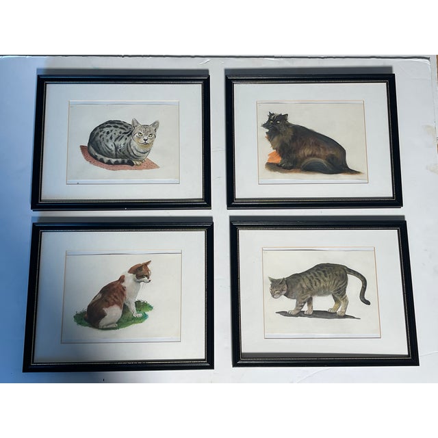 1970s Set of 4 Watercolor Cat Portraits Framed For Sale - Image 4 of 9