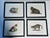 1970s Set of 4 Watercolor Cat Portraits Framed For Sale - Image 4 of 9