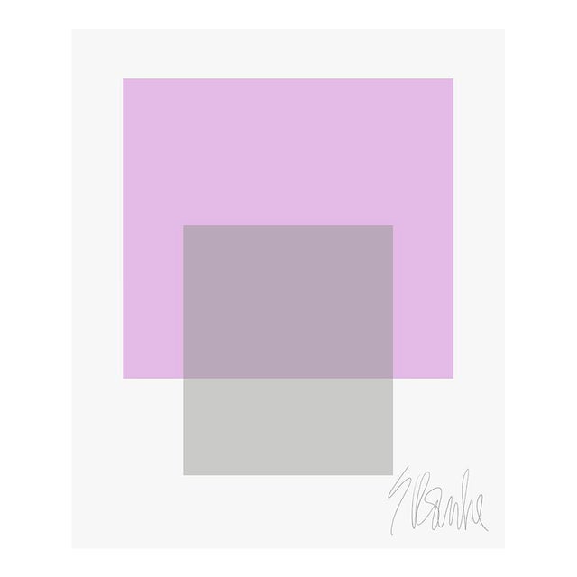 The Interaction of Lavender and Gray Fine Art Print 20" X 24" by Liz Roache For Sale