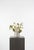 A light, sculptural arrangement built around white tulips, yellow Queen Anne’s lace, and airy cosmos. The palette leans...