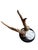 Roe Deer Trophy 205 Black Forest Antlers For Sale - Image 4 of 5