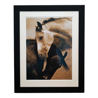 2000s Michael Eastman Horse #8/23 Iris Print on Arches Watercolor Paper, Framed For Sale