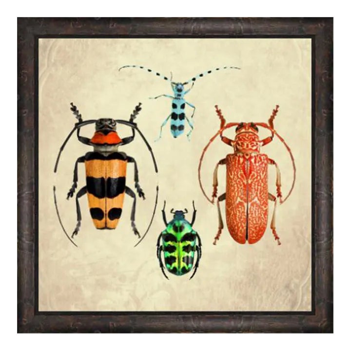 Beetles and Bugs Still Life Original Print Bugs Collection 1 | Chairish