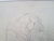 Modern Eugene Berman, Model Pencil Drawing, Modern Style, Signed, 1944 43x35 Cm, 1920s, Pencil For Sale - Image 3 of 4