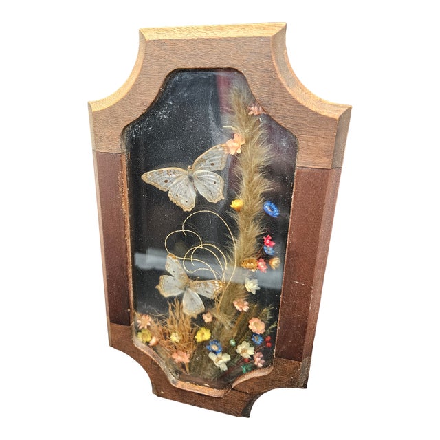 Vintage Butterflys & Dried Flowers Mounted in Shadow Box Frame Taxidermy For Sale