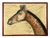 Etiennette Johan, Giraffe, 1930s, Mixed-Media Painting on Canvas, Framed For Sale