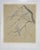 Late 20th Century Ring Neck Doves Serigraph For Sale In Seattle - Image 6 of 6